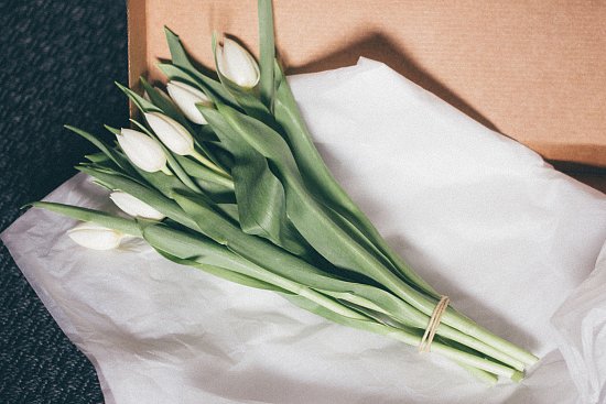 ����-������ � ����� 2026: ��������, ������������ � ����������������