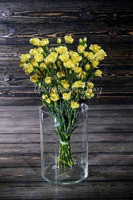 Гвоздика кустовая желтая